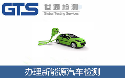 辦理新能源汽車(chē)檢測