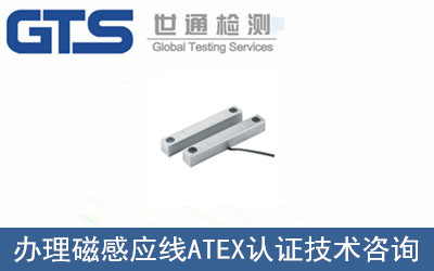 磁感應線(xiàn)ATEX認證