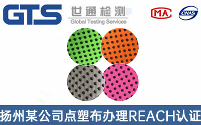 點(diǎn)塑布REACH認證